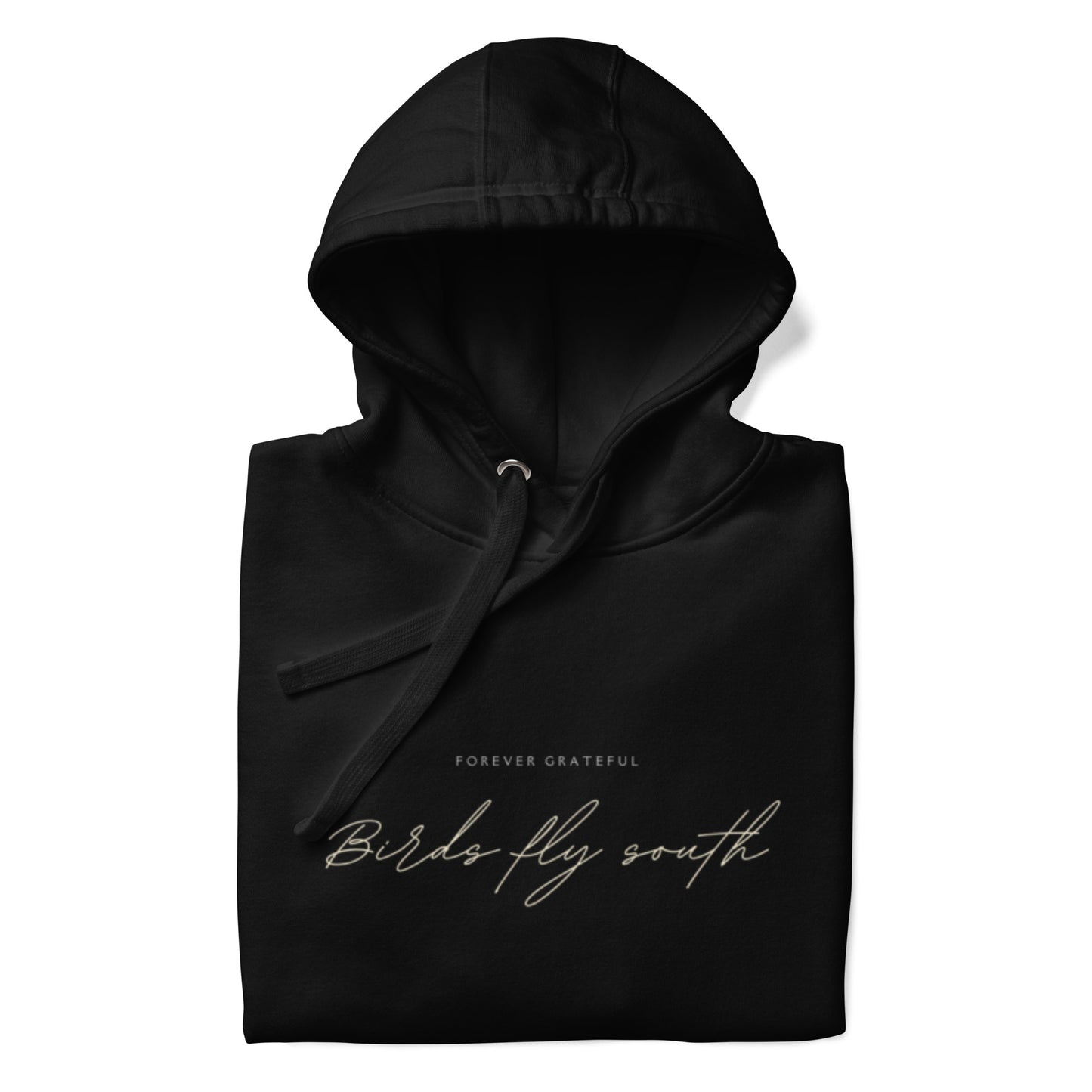 Birds fly south Hoodie