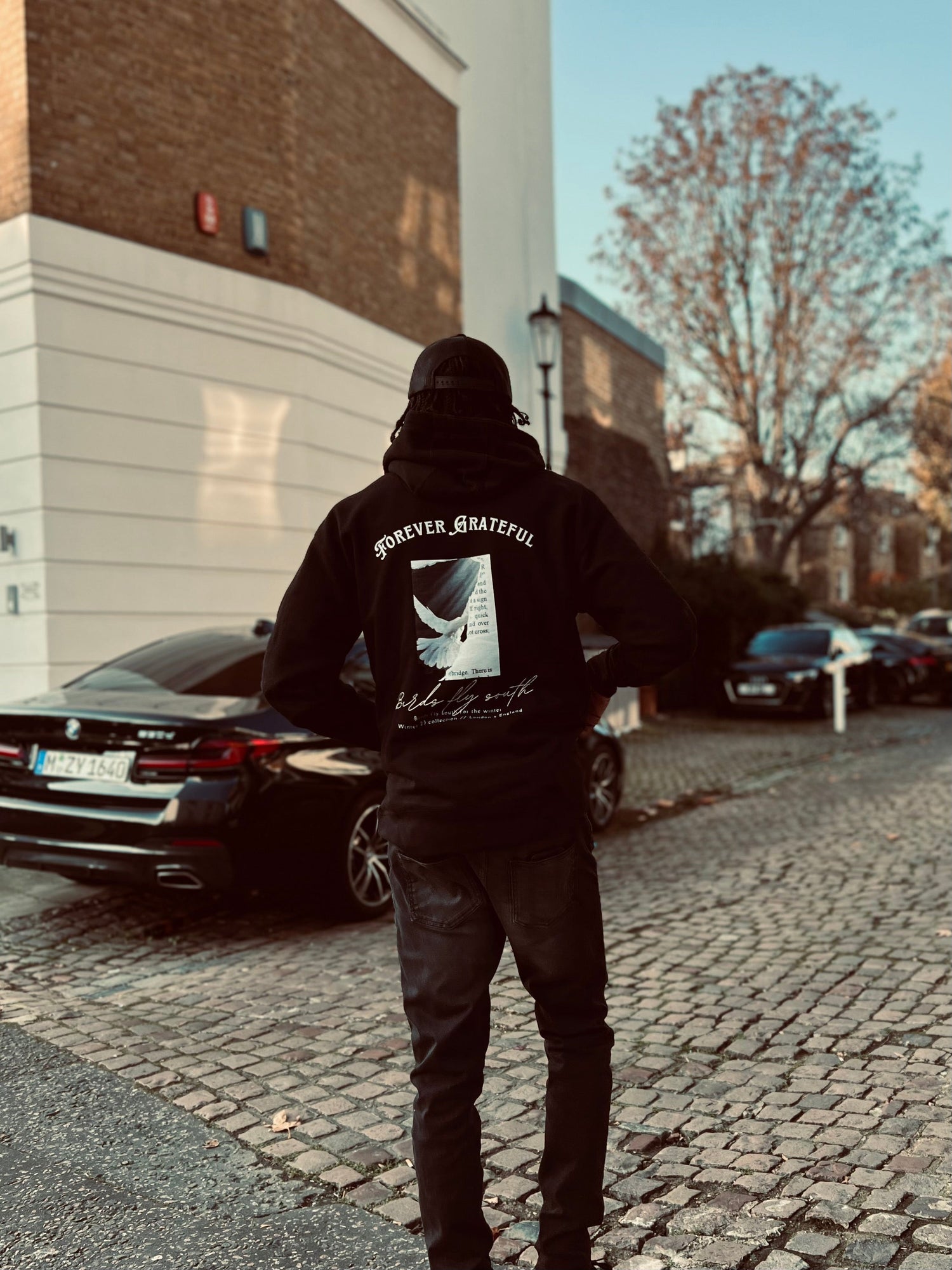 Hoodies