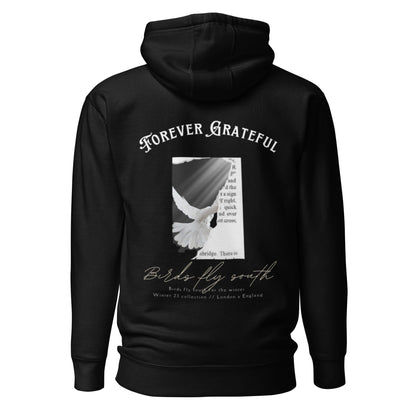 Birds fly south Hoodie