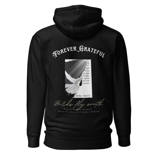 Birds fly south Hoodie